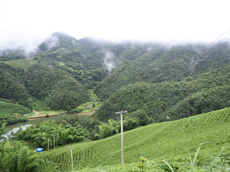 路北基地照片-13