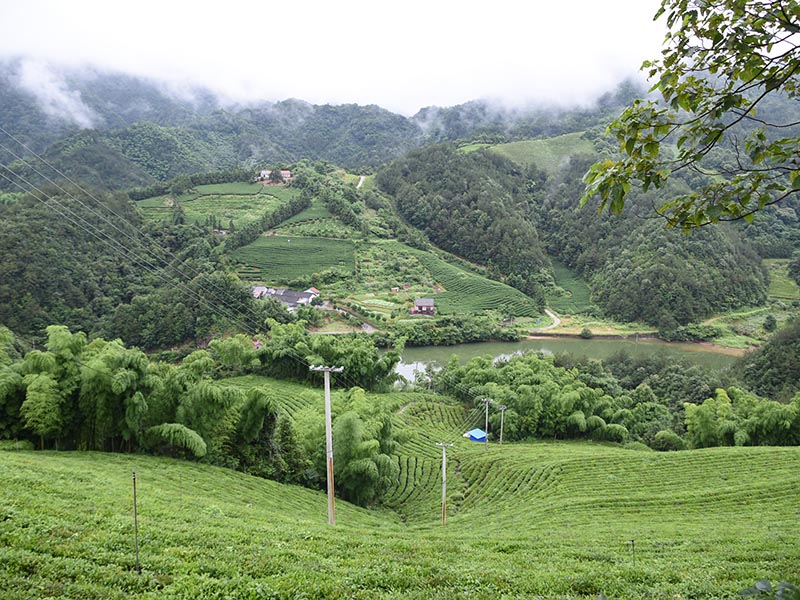 路北基地照片-12