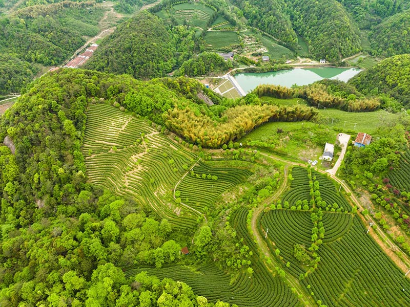 路北基地照片-10