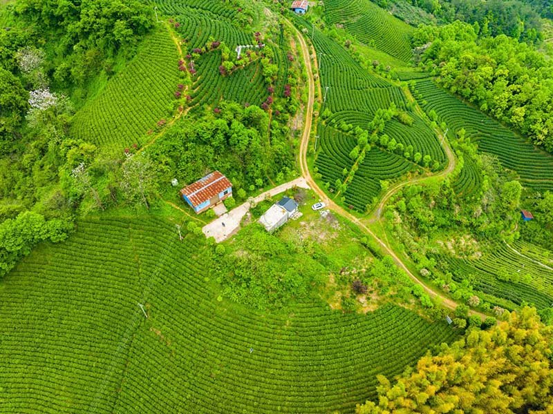 路北基地照片-11