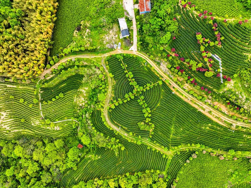路北基地照片-03